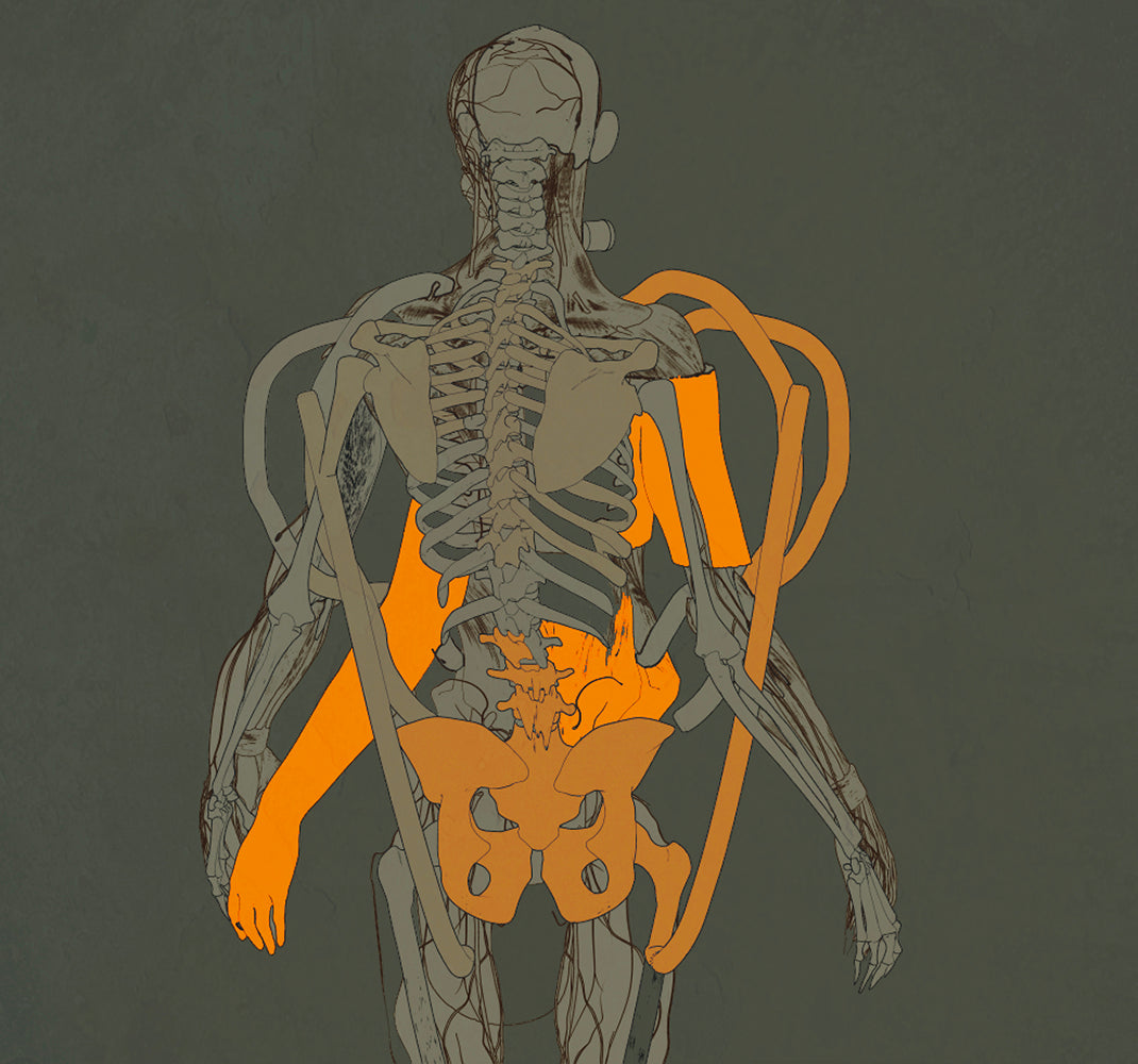 Xen Wear Pillow - Skeleton